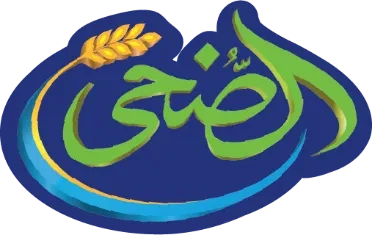 الضحى